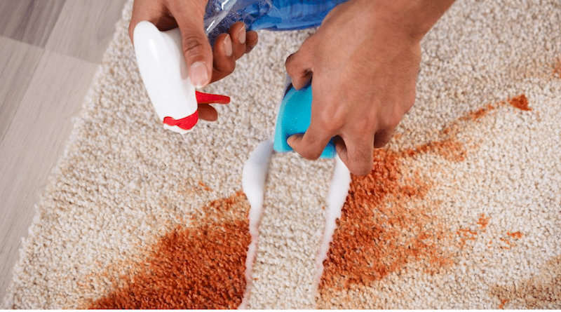 Nettoyage de tapis et moquettes à domicile Netésia